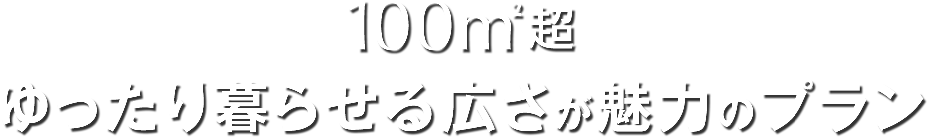 100m²超 ゆったり暮らせる広さが魅力のプラン