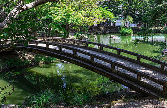 浜松城公園・浜松城