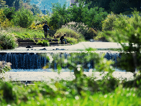 南発寒公園 写真