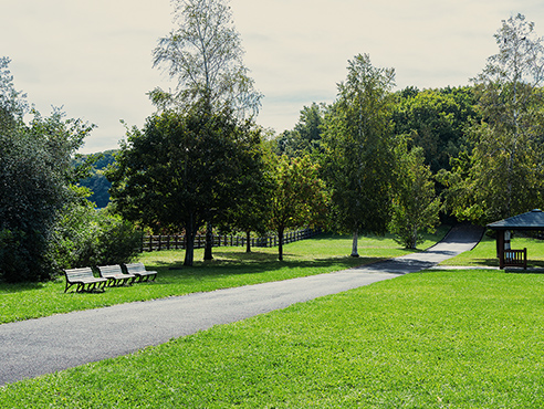 宮丘公園 写真