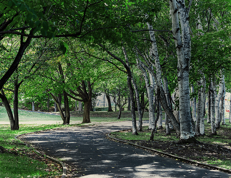 発寒河畔公園（徒歩23分・約1,830m）