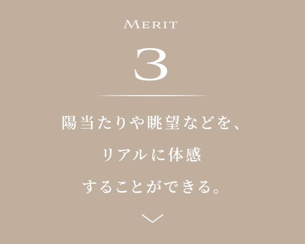 MERIT3