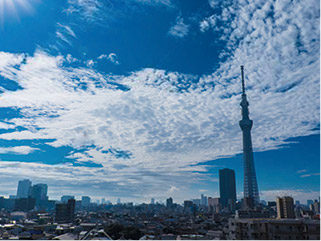 スカイツリー（東京）